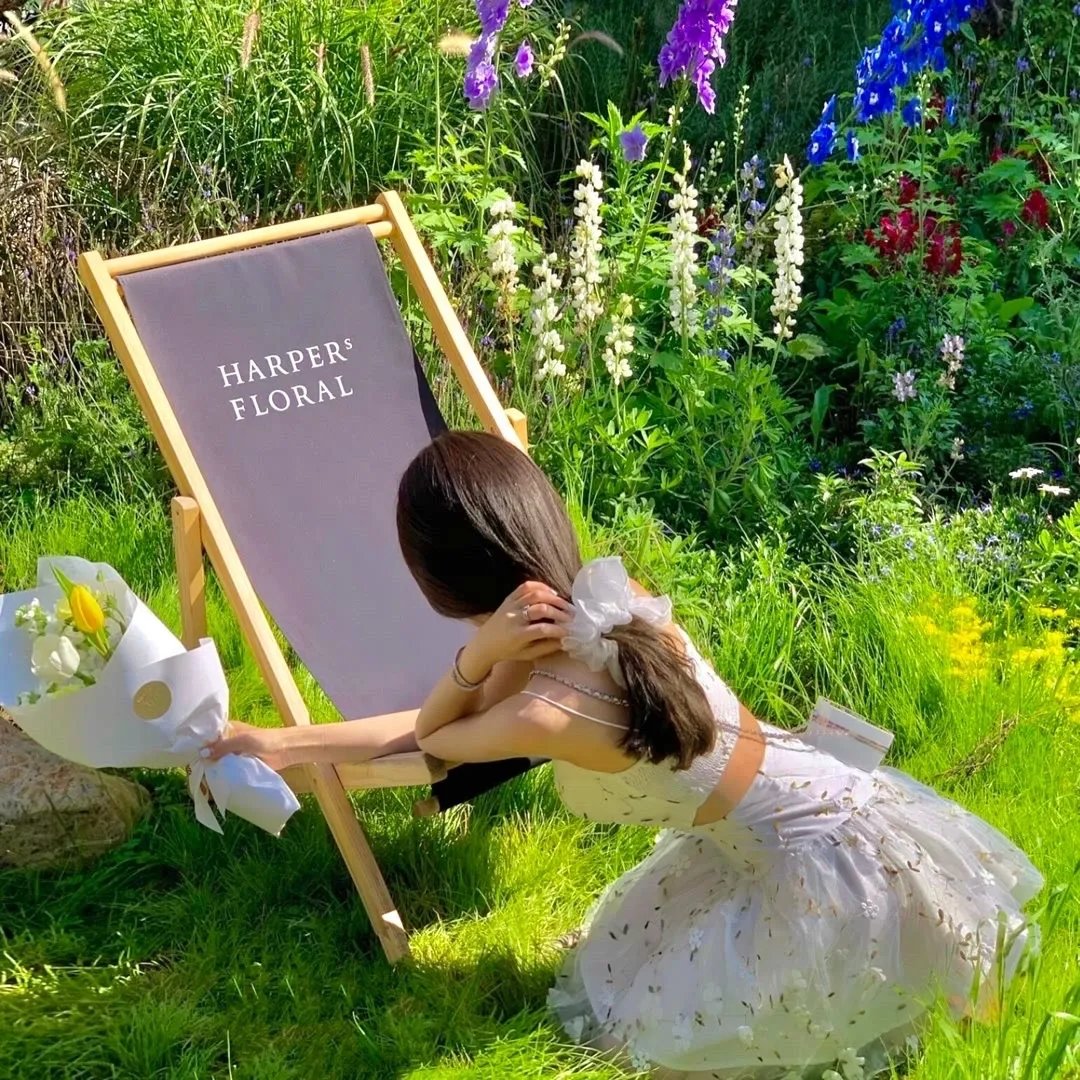 恐怖来袭：马塞拉·博尔赫斯的故事